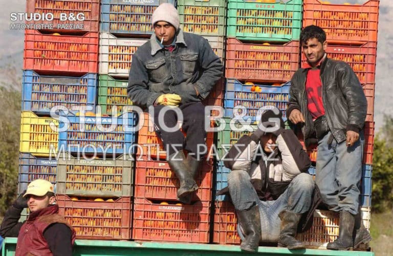 ΕΡΓΟΣΗΜΟ: Τι προέκυψε από την Ημερίδα του ΕΒΕ Αργολίδας για το πρόβλημα της συγκομιδής των αγροτικών προϊόντων