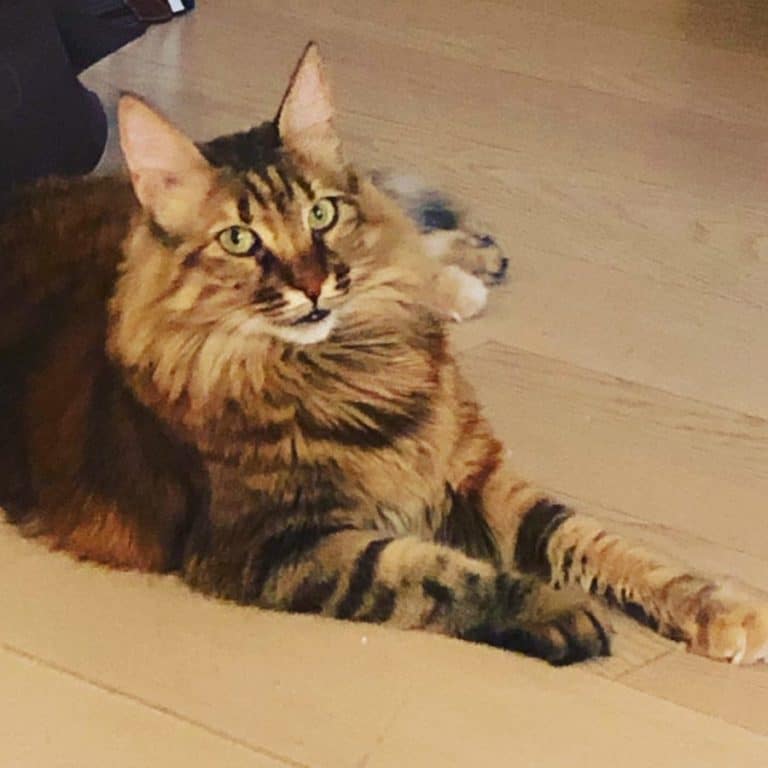 Η “Μάχη” της ζωής μου