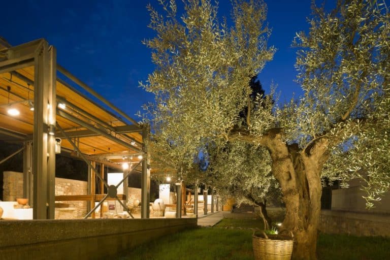 Ο Φοίβος Δεληβοριάς στο Μουσείο Ελιάς και Ελληνικού Λαδιού