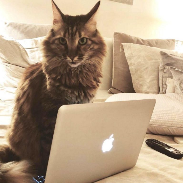 Η “Μάχη” της ζωής μου