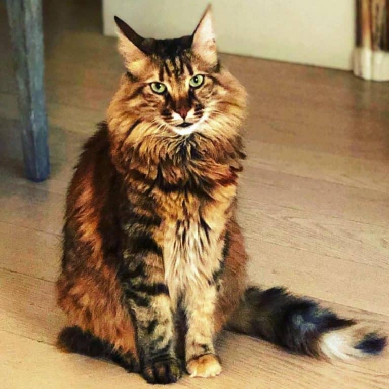 Η “Μάχη” της ζωής μου