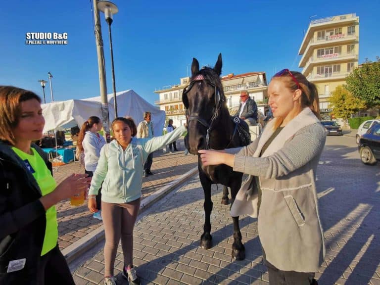 17η Ιππική Συνάντηση Διομήδεια