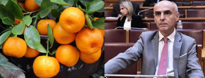 ΓΑΒΡΗΛΟΣ ΚΛΙΜΕΝΤΙΝΙ ΜΑΝΤΑΡΙΝΙΑ