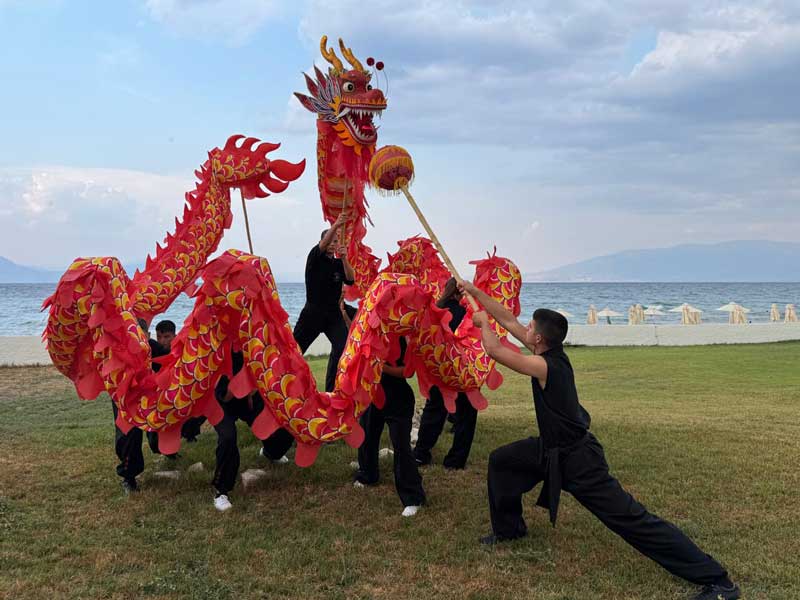18ου προπονητικού Καμπ Wushu Kung Fu