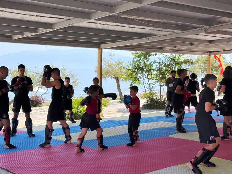 18ου προπονητικού Καμπ Wushu Kung Fu