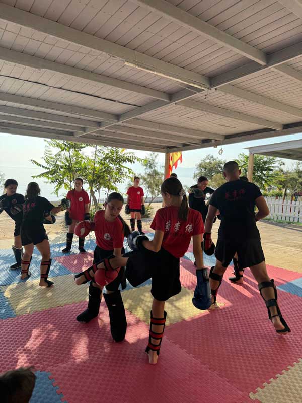 18ου προπονητικού Καμπ Wushu Kung Fu