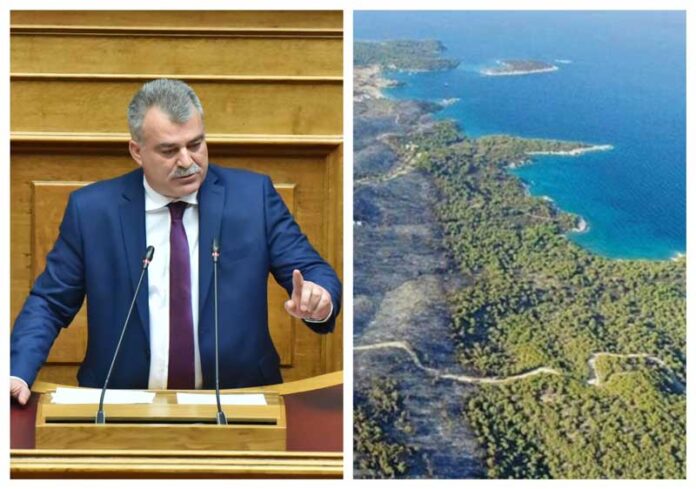 ΠΟΥΛΑΣ ΔΑΣΟΣ ΚΟΡΑΚΙΑΣ