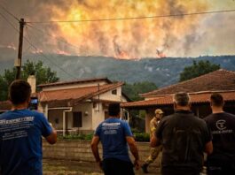 Φενεός πυρκαγιά