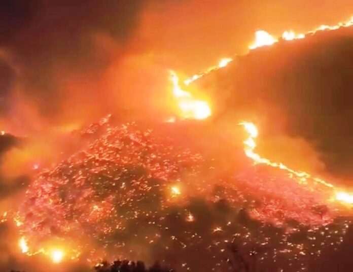 Αχαΐα φωτιά καταστροφή