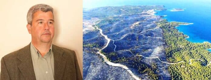 Κορακιά Δάσος Τάσος Λάμπρου