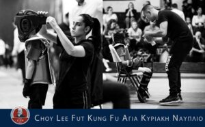 Σύλλογος Choy Lee Fut