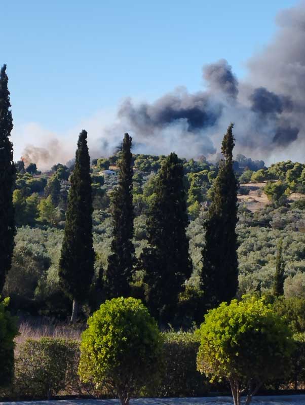 Ερμιονίδα: Δασική πυρκαγιά στο Κουνούπι