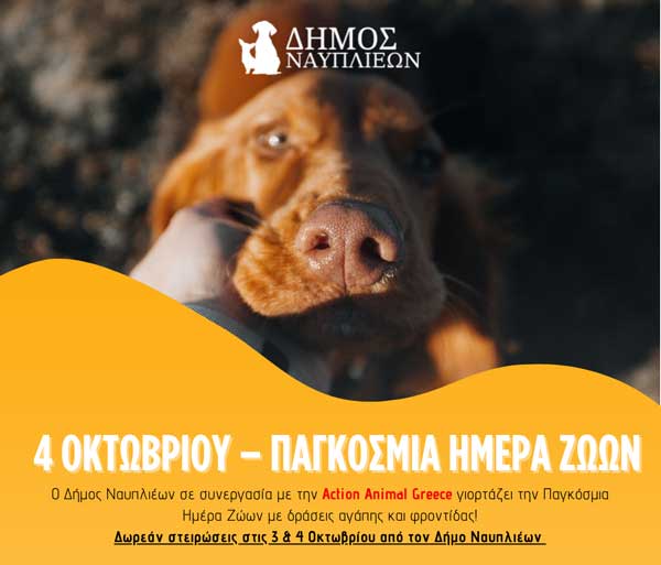 Ναύπλιο: Δράσεις του Δήμου με αφορμή την Παγκόσμια Ημέρα Ζώων