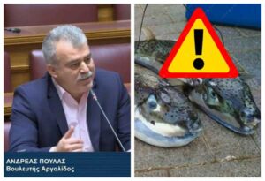 λαγοκέφαλος Αργολίδα ΠΟΥΛΑΣ