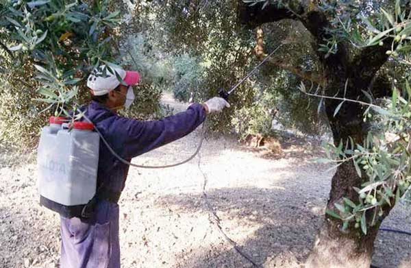 ΔΑΚΟΚΤΟΝΙΑ