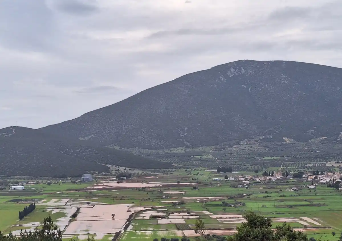 Υπεύθυνες οι υπηρεσίες της Περιφέρειας για τον κάμπο των Διδύμων