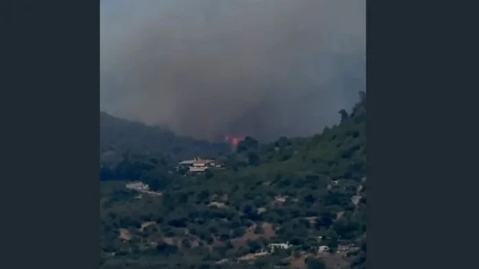 fotia-loutraki ΦΩΤΙΑ ΛΟΥΤΡΑΚΙ